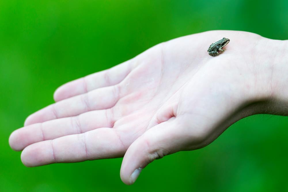 10454244 690013857731458 2547841852263413439 o