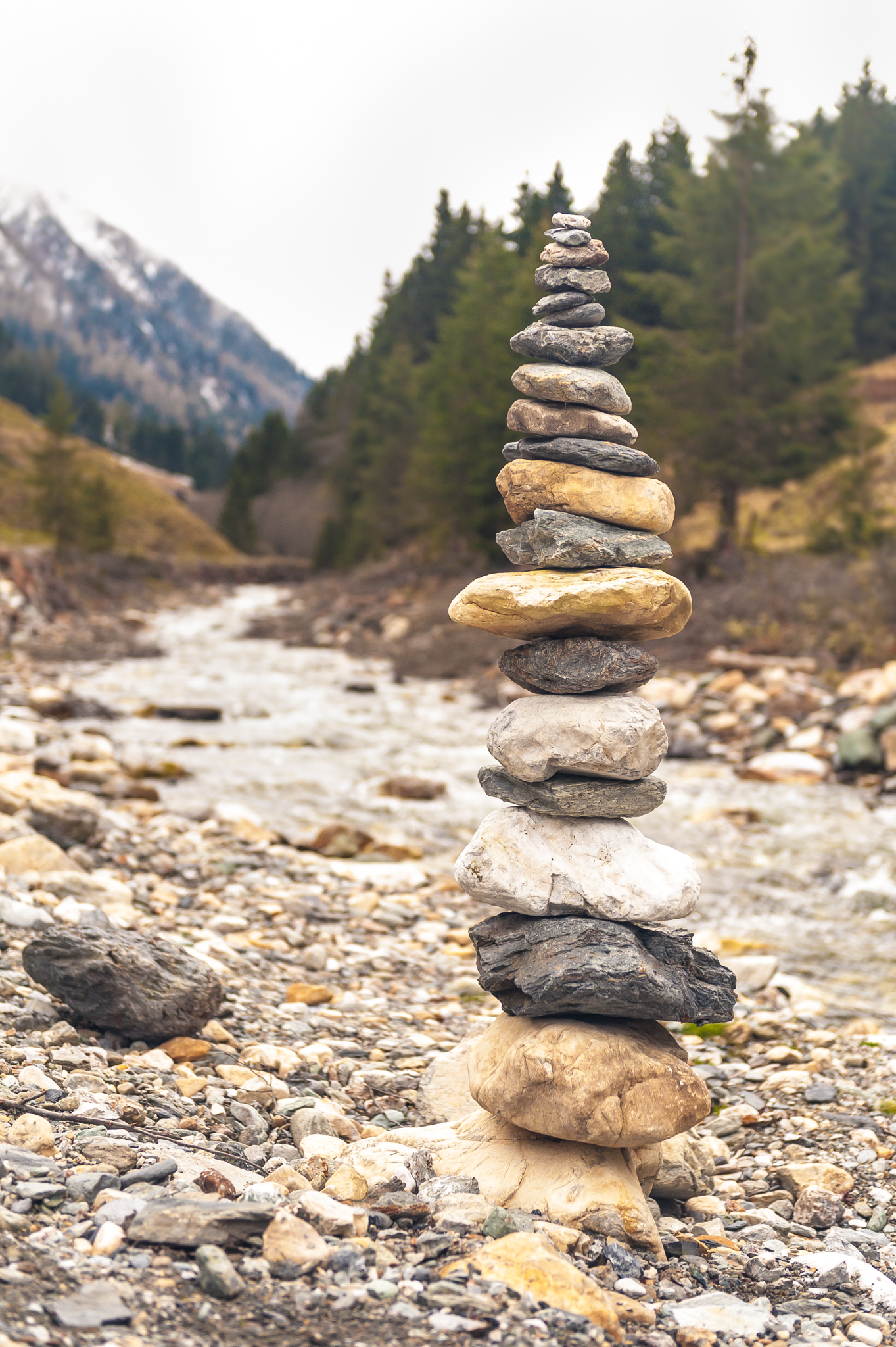 0BC6A23E C14B 48FC 90EB 44A8A5F471D8