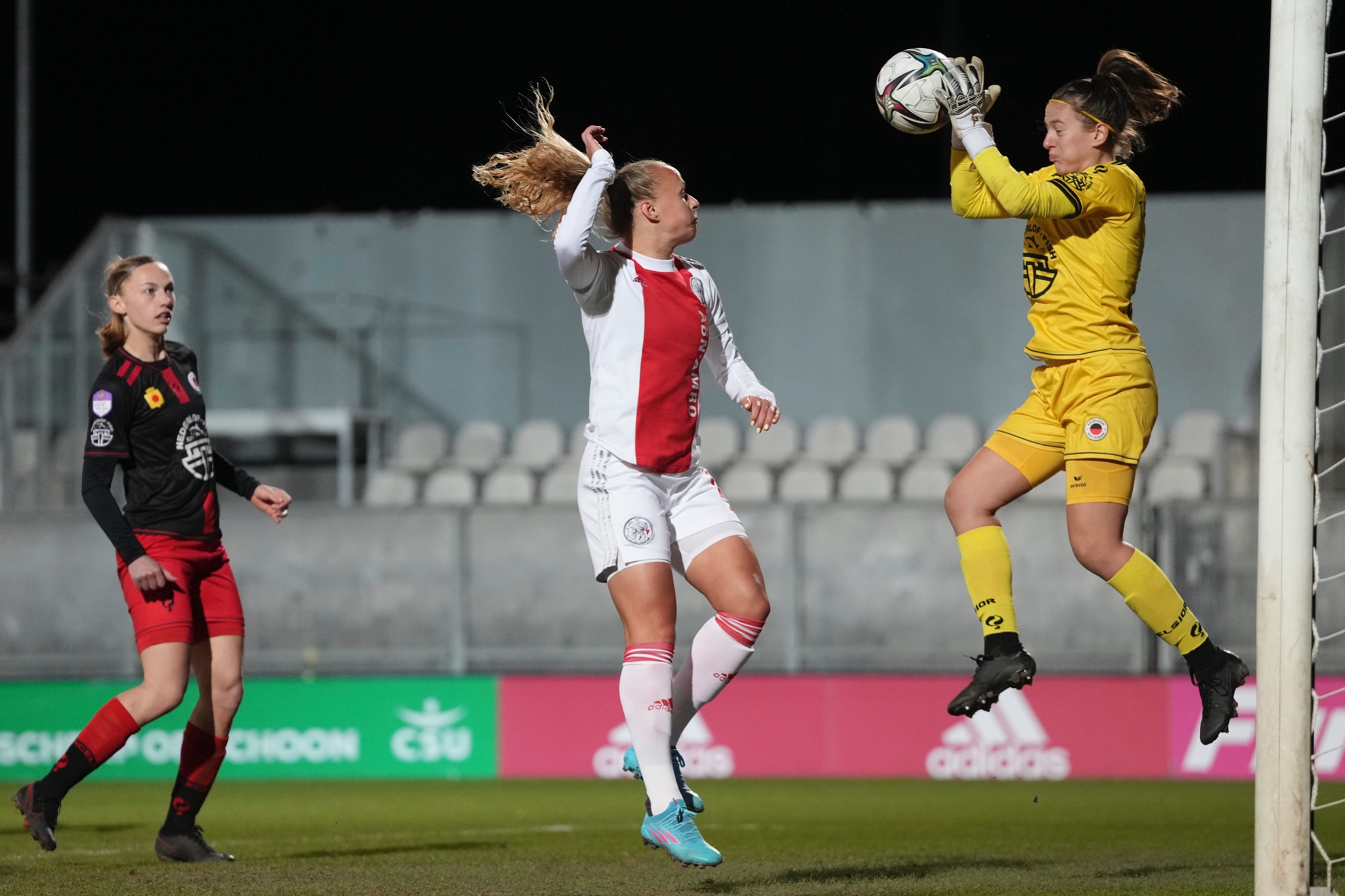 PAG20220319 00007OP1